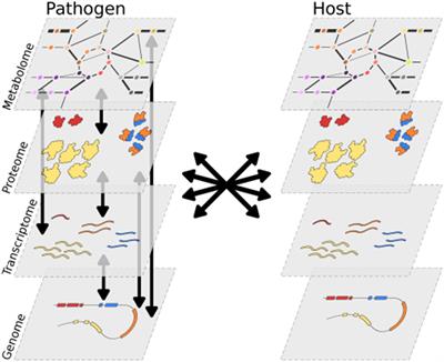 Uncovering the Role of Metabolism in Oomycete–Host Interactions Using Genome-Scale Metabolic Models